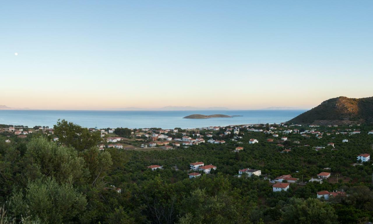 Karia Hotel Palamutbükü Bagian luar foto